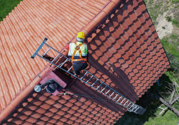 Best Asphalt Shingle Roofing  in Shenandoah, VA