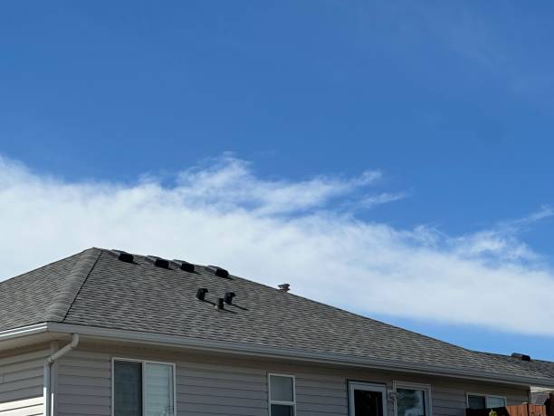 Best Slate Roofing  in Shenandoah, VA
